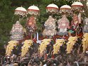 thrissur-pooram-2010 (43)